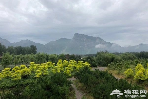 娴静清幽，静谧野奢，这个隐秘山林的仙境终于被发现了！[墙根网]