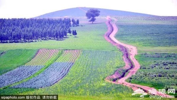 北京“大七环”来了！这些地方要火！北京人中秋小长假有的玩了！[墙根网]