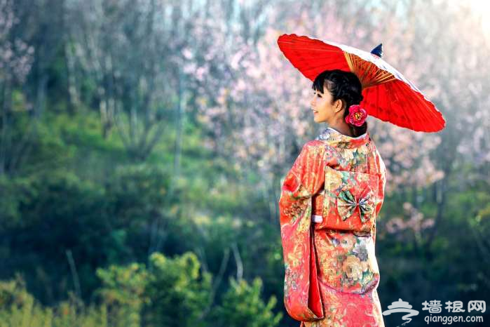 日本女性穿和服时不穿内裤的，和服里藏着不可告人的秘密？[墙根网]
