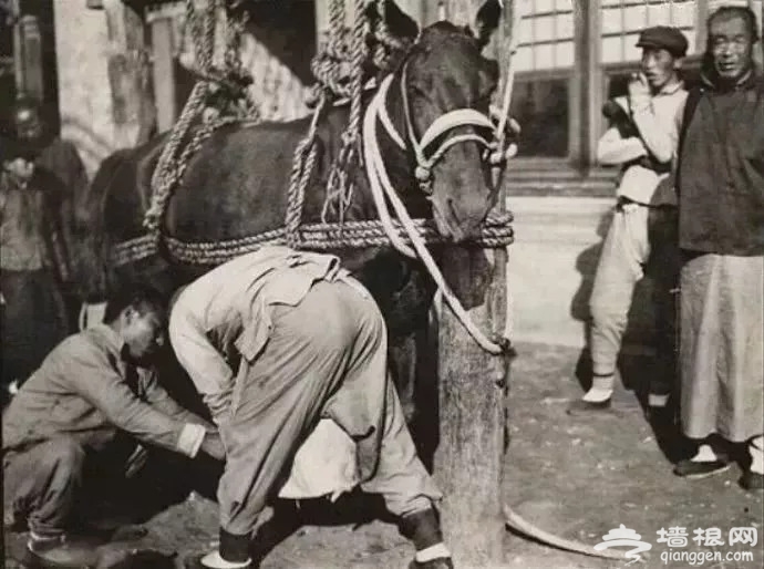 京城最诡异的地界儿，有胆去看看吗？[墙根网]
