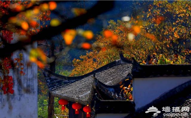 中秋节去哪旅游最好 在这里邂逅最美的秋天[墙根网]