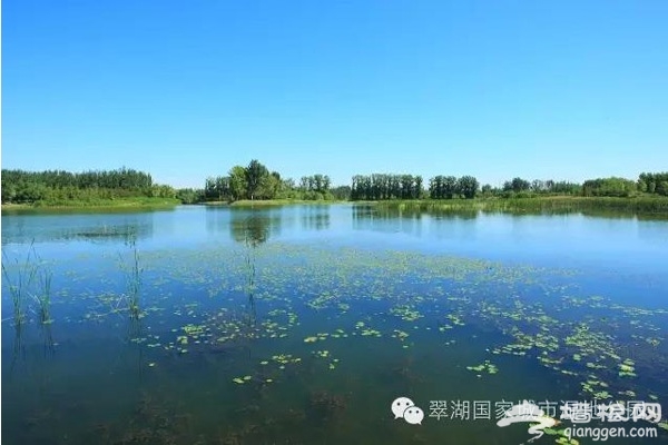 北京最神秘的免费公园，生态原始、野趣横生！[墙根网]