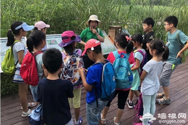 北京最神秘的免费公园，生态原始、野趣横生！[墙根网]
