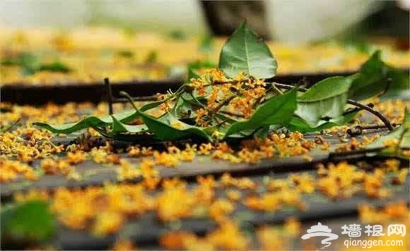 中秋节十大习俗盘点 你知道几个[墙根网]