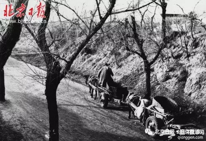 老北京阜成门拆除前长这样 瓮城内瓦罐据说能当手榴弹？[墙根网]
