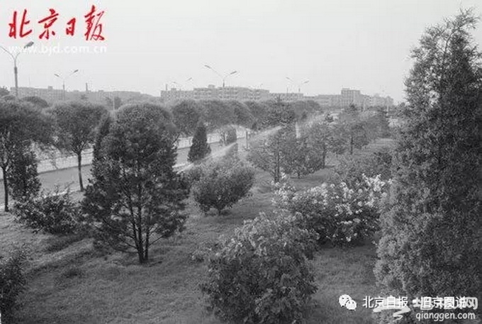 老北京阜成门拆除前长这样 瓮城内瓦罐据说能当手榴弹？[墙根网]