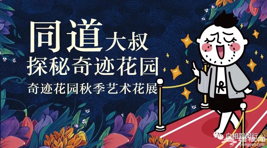 2018上海浦江郊野公园秋季花展攻略 | 附门票预订[墙根网]