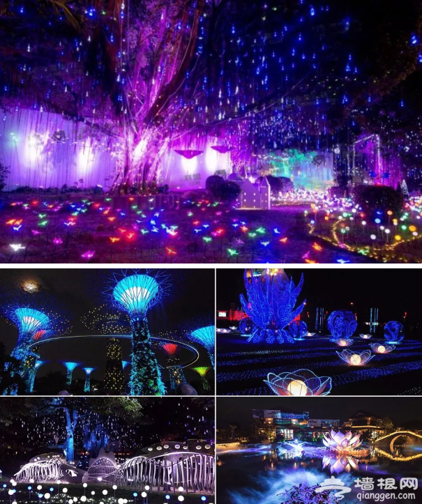 北京紫谷灯光秀打造阿凡达奇幻世界 滚动 第2张