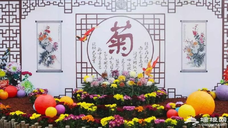 2018北京哪有菊花展？六大展区迎接参观市民[墙根网]