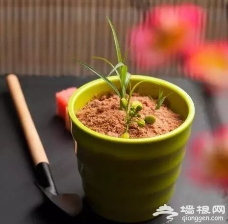 2018重庆江湖菜哪里最好吃[墙根网]