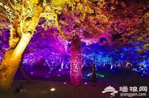 风靡北京的沉浸式娱乐展，只剩拍照炫“颜值”？