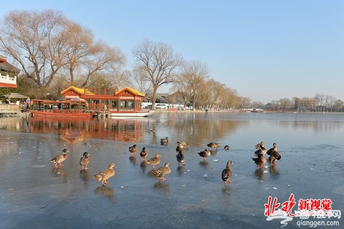 北京西海湿地公园月底迎客：中心三浮岛水生植物超30种[墙根网]