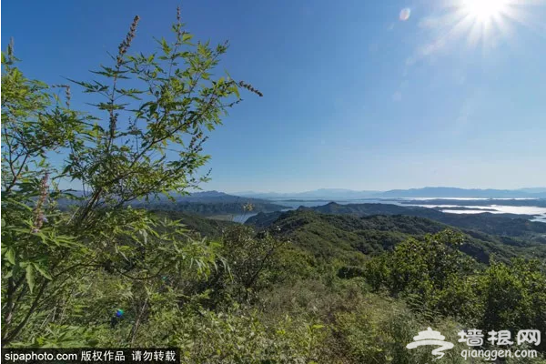 京郊竟然藏着一个“千岛湖”，90%的人都没去过！美醉了！[墙根网]