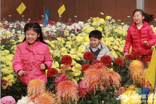 中国农民丰收节 北京各区县活动集锦[墙根网]