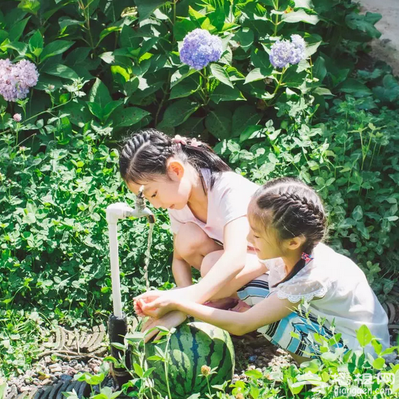 北京这片花海美到窒息！比春夏更美！再错过只能等明年……[墙根网]