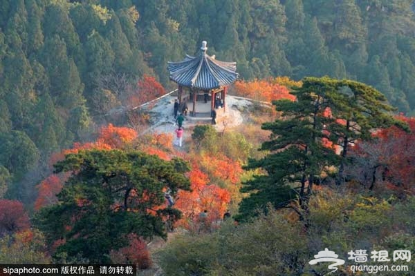 秋游好去处！北京有哪些名山胜景藏着最美的秋天？[墙根网]