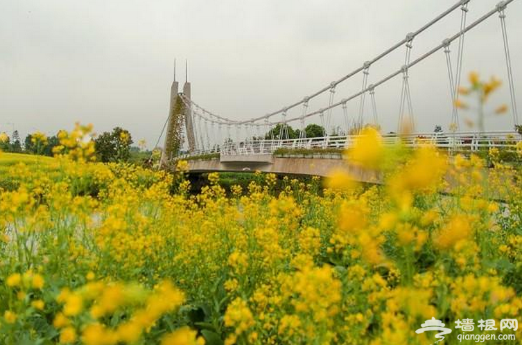 2018广州中秋节猜灯谜活动时间和地点一览[墙根网]