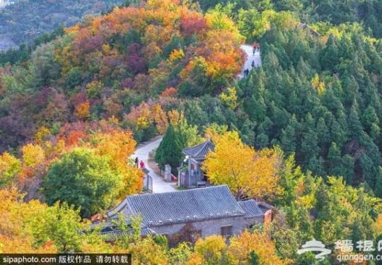 秋游好去处！北京有哪些名山胜景藏着最美的秋天？