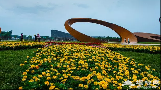 中秋京城最美季，赏花游园不负景[墙根网]