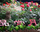 京郊精品采摘篱园：假期在此放松解压 感受果实成熟的季节