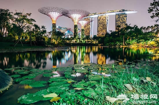 超五星皇家游轮带你下南洋，逛吃买遍东南亚！[墙根网]