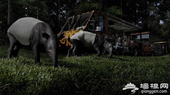 超五星皇家游轮带你下南洋，逛吃买遍东南亚！[墙根网]