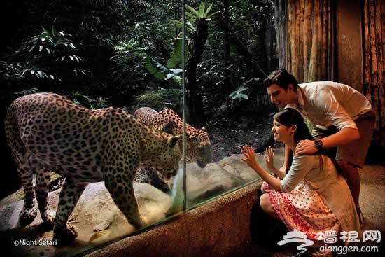 超五星皇家游轮带你下南洋，逛吃买遍东南亚！[墙根网]