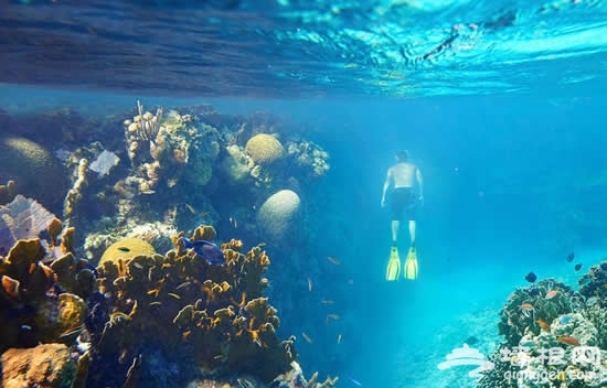 超五星皇家游轮带你下南洋，逛吃买遍东南亚！[墙根网]