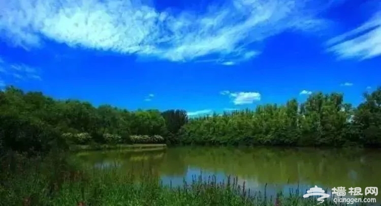 北京湿地公园哪个最美最好玩?秋光正好一起去看看吧！[墙根网]