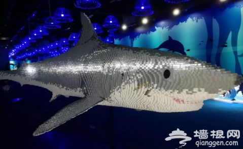 2018鸟巢BRICKLIVE动物王国环保展门票购买指南