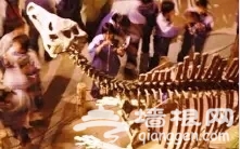 2018石家庄国庆亲子游推荐[墙根网]
