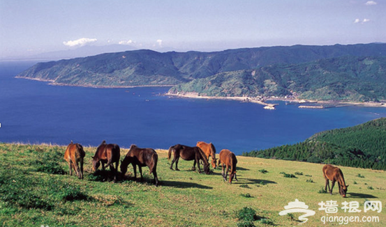 秋天在皇家加勒比海洋量子号——做一只想什么有什么的哆啦A梦[墙根网]