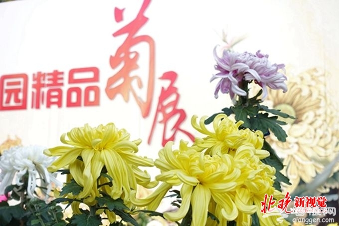 北京圆明园2018金秋游今开幕，多项活动向改革开放40年献礼[墙根网]