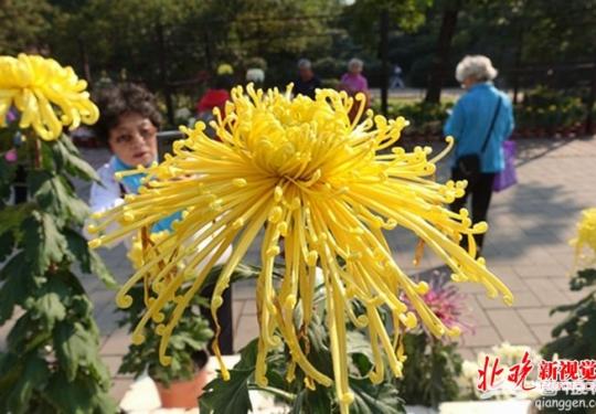 北京圆明园2018金秋游今开幕，多项活动向改革开放40年献礼