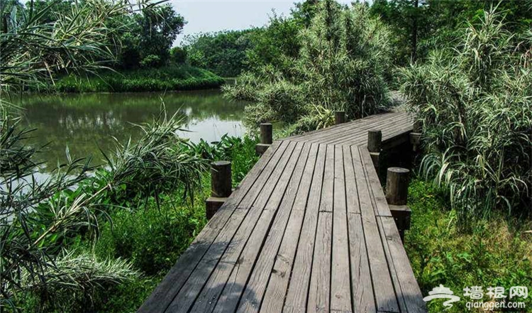 长三角生态旅游区联盟一卡通今天发布，199元逛遍15大景区[墙根网]