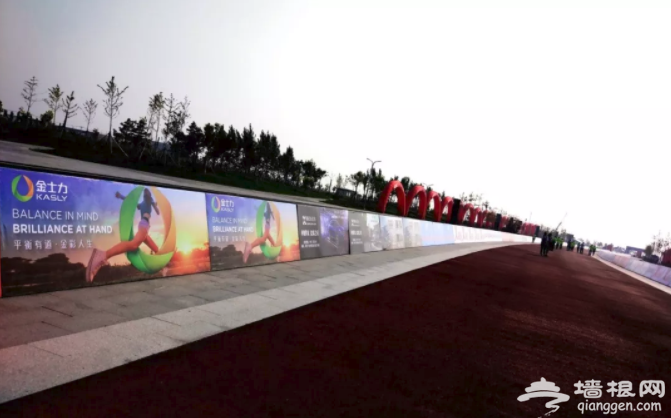 金士力助力红海滩国际马拉松大赛[墙根网]