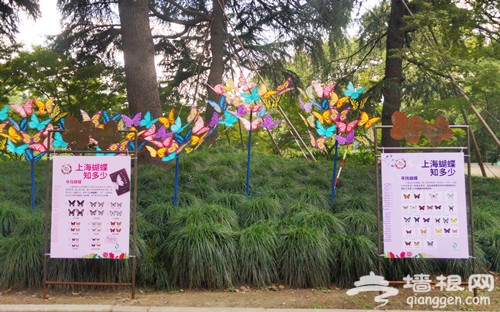 2018第六届上海动物园蝴蝶展观展攻略(开幕时间+地点+门票)