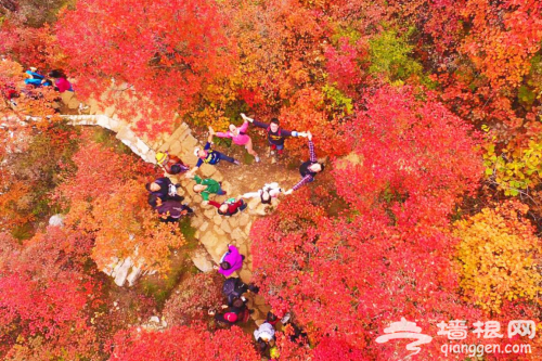红叶节达人招募令 | 在这里拍照绝对能够称霸朋友圈C位