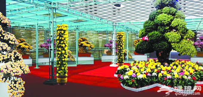 延庆世葡园展上百种菊花 国庆期间将举办各类趣味活动