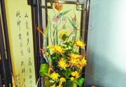 北海公园菊花展10月下旬开展 日本大师展示5种日本传统菊花