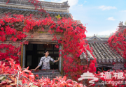 打卡京郊最美红叶圣地，红叶小镇秋季五大活动全新上线