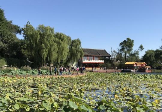 北京什刹海西海湿地公园今起开放 碧荷轩山海楼等3处堵点已打通