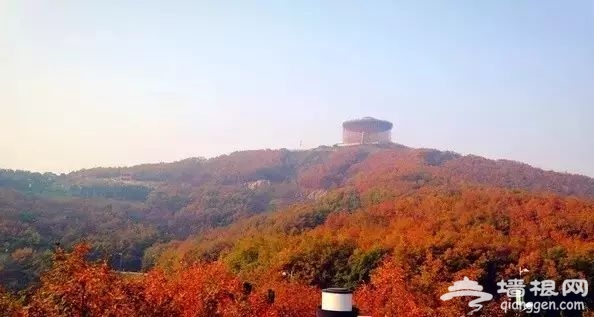 大连赏枫叶15大好去处[墙根网]