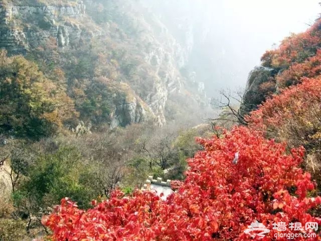 大连赏枫叶15大好去处[墙根网]