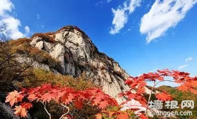 大连赏枫叶15大好去处[墙根网]
