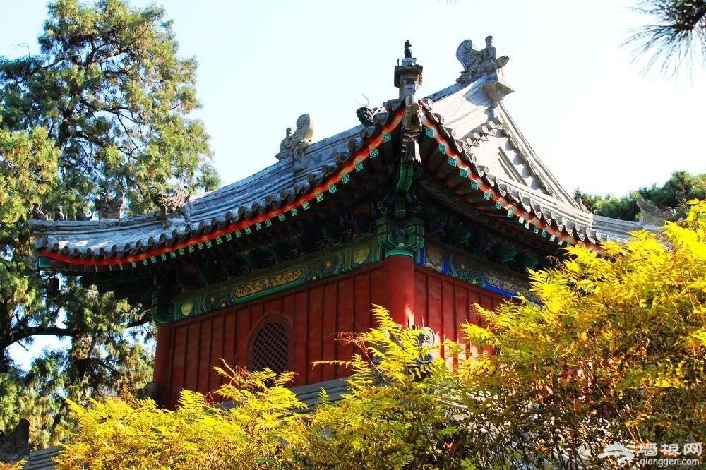 北京门头沟红叶观赏线路推荐 八条赏秋线路美翻朋友圈[墙根网]