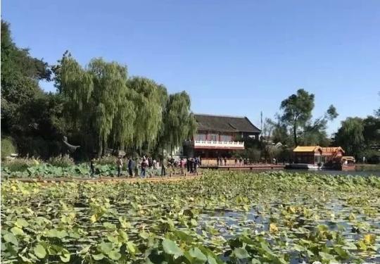 奔走相告！北京又一湿地公园开放了！