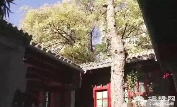 李晨四合院曝光 李晨四合院在什么位置？[墙根网]