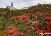 深秋时节，延庆漫山红叶在等你