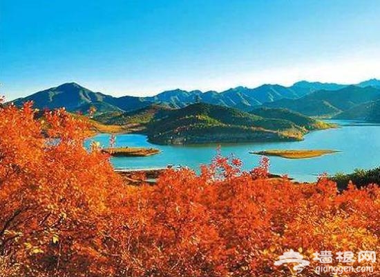 金秋赏叶 除了香山这十个地方也不赖[墙根网]